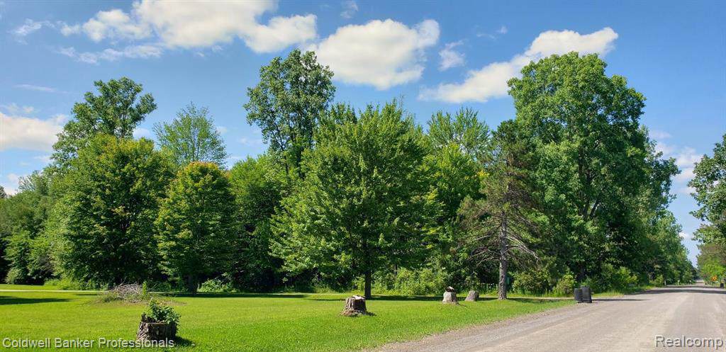 8445 Morrish Road - Photo 1