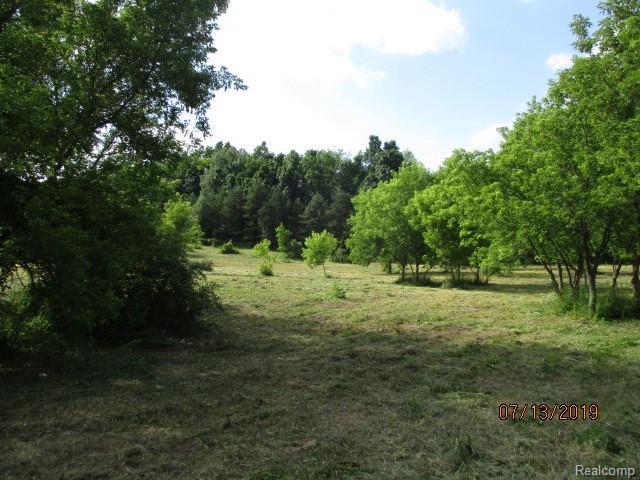 0 Tipsico Lake Rd - Photo 1