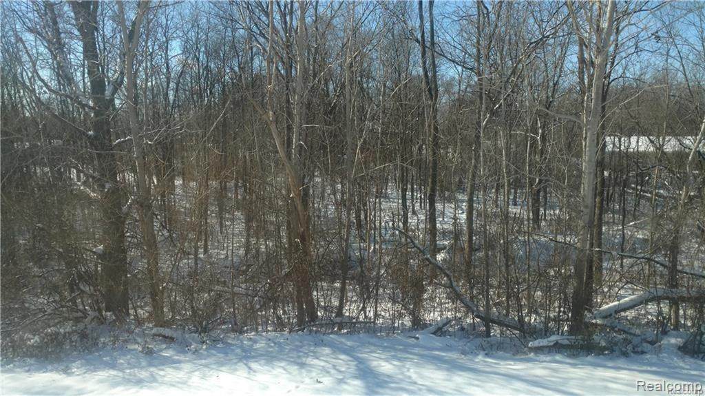VACANT Telegraph Rd - Photo 1