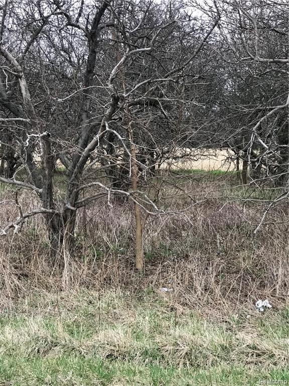 5639 Van Dyke Rd - Photo 1