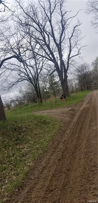 Steinacker Rd - Photo 1