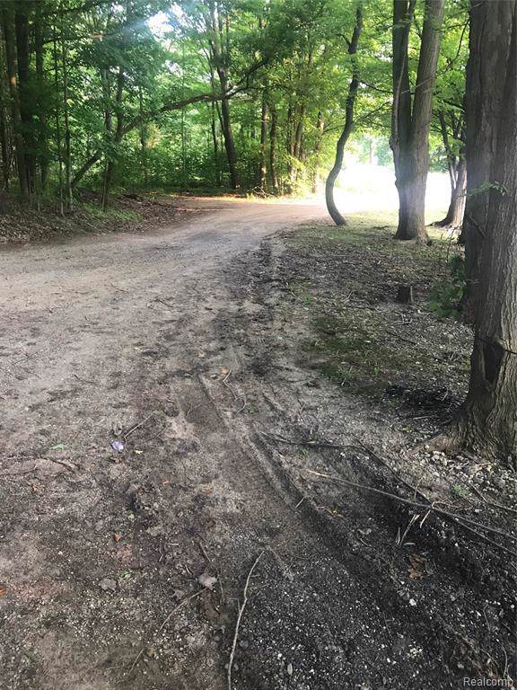 1.63 acres Gras Lake Pleasant Rd - Photo 1