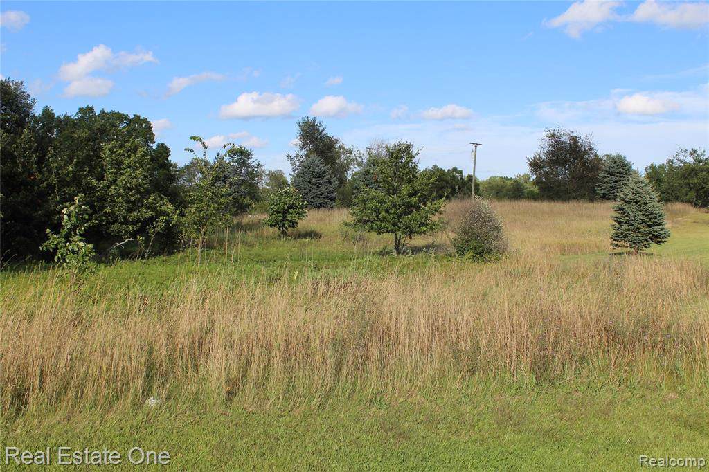 9532 Iosco Ridge Dr S - Photo 1