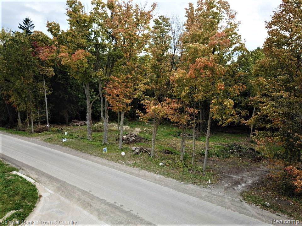 000 Mcclements Rd. Parcel D - Photo 1