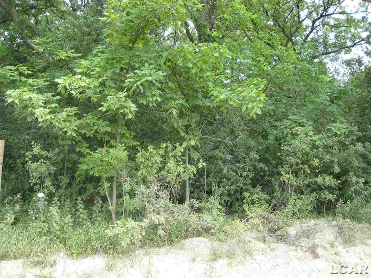8901 Morton Taylor - Photo 1