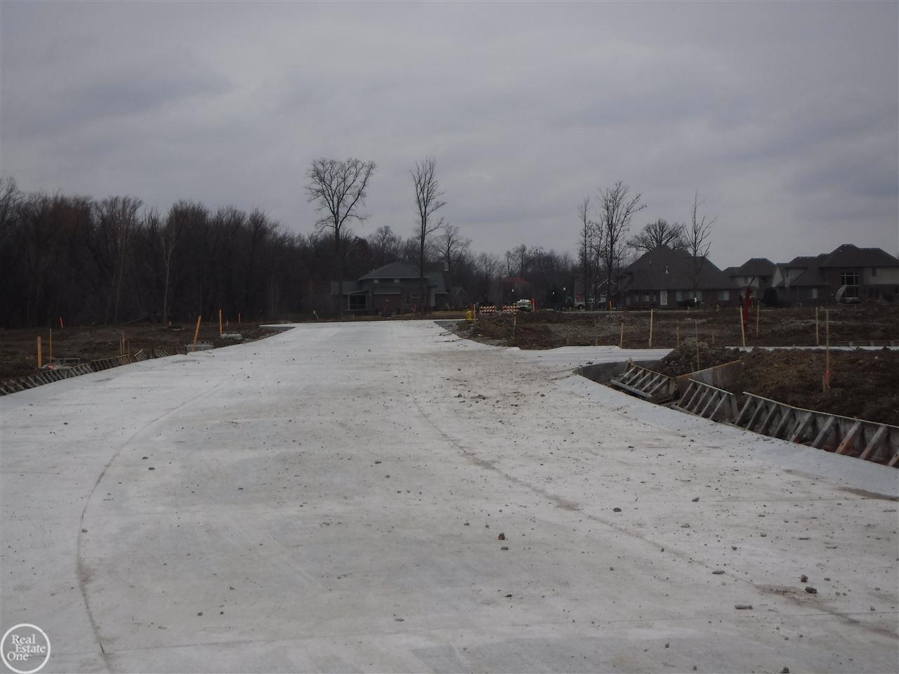 46057 Shoal Drive - Photo 1