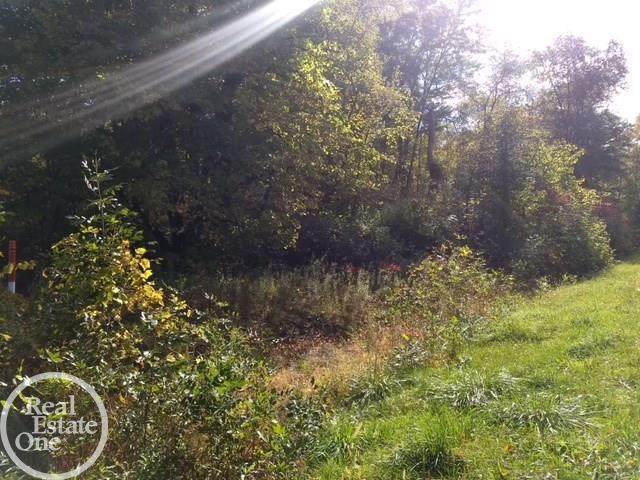 Lakeshore - Photo 1