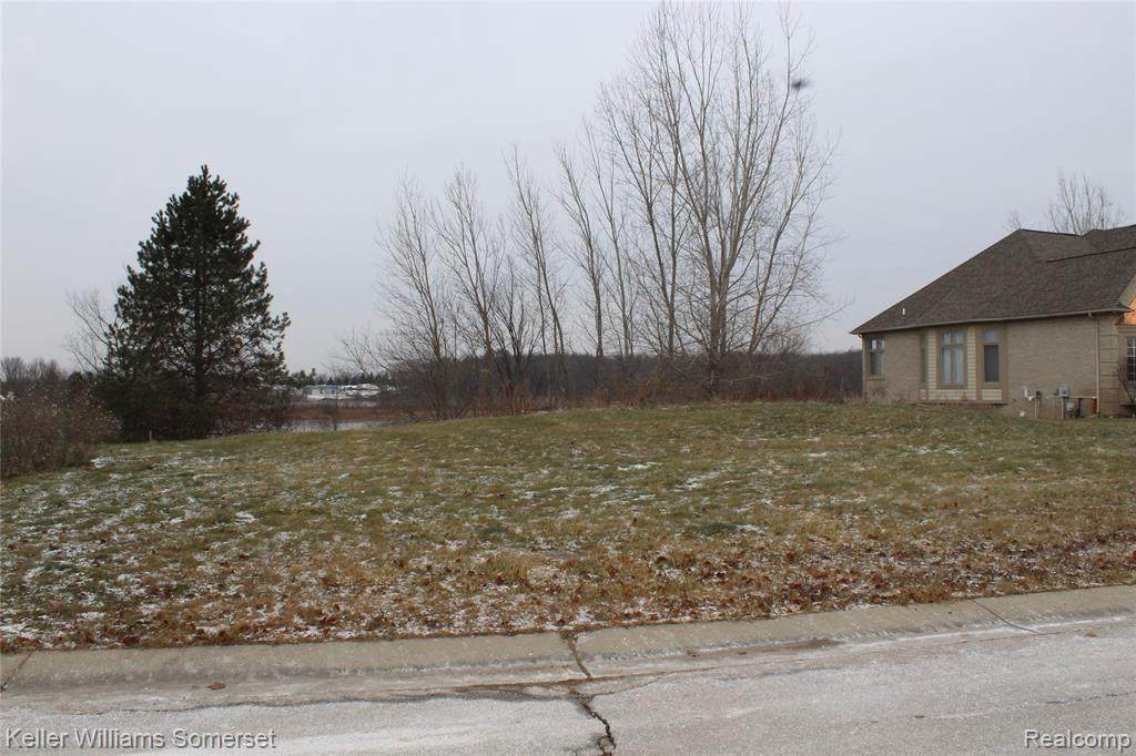 10463 Grandview Dr - Photo 1