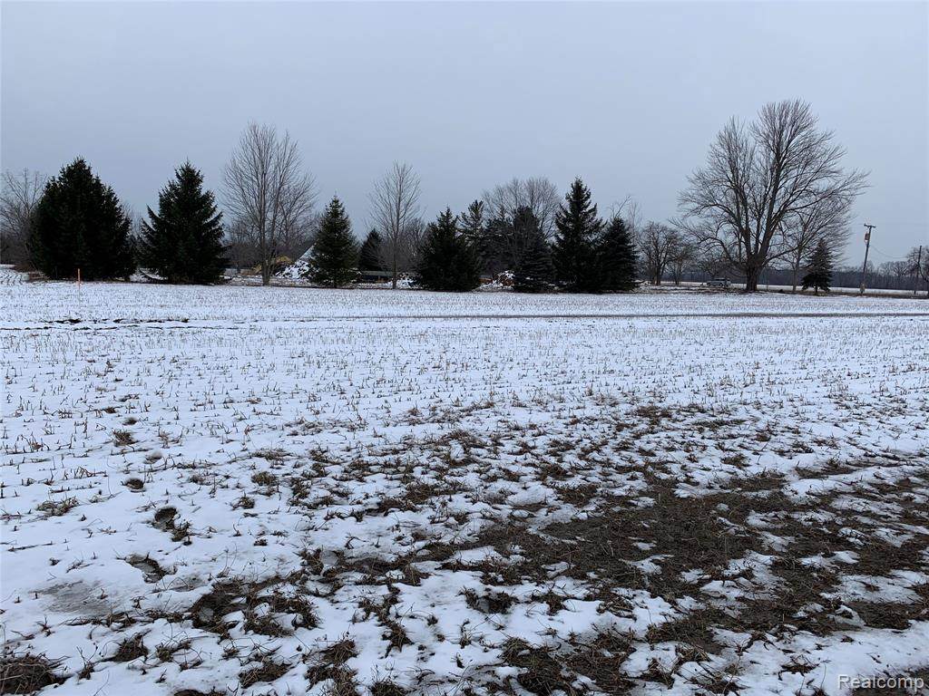 16644 34 MILE RD - Photo 1