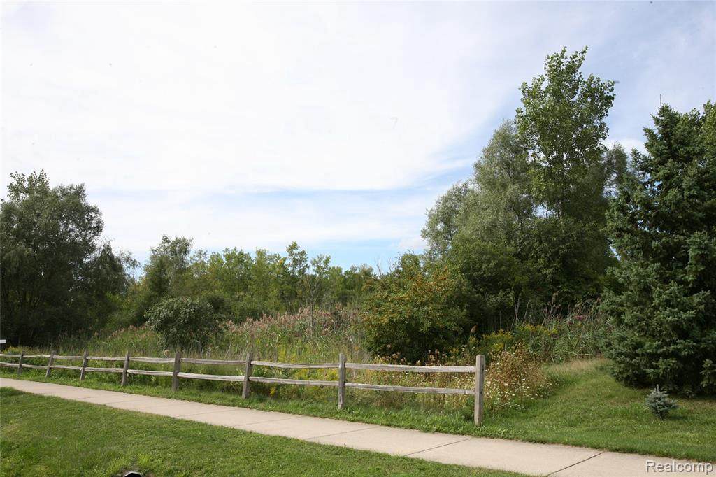 00 Maybee Rd - Photo 1