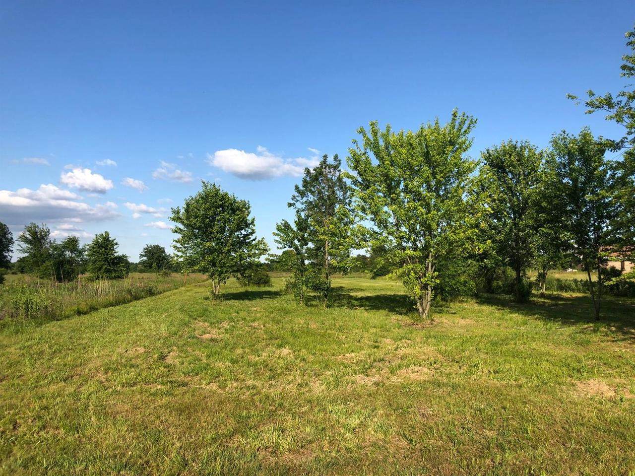 7849 Whittaker Rd - Photo 1