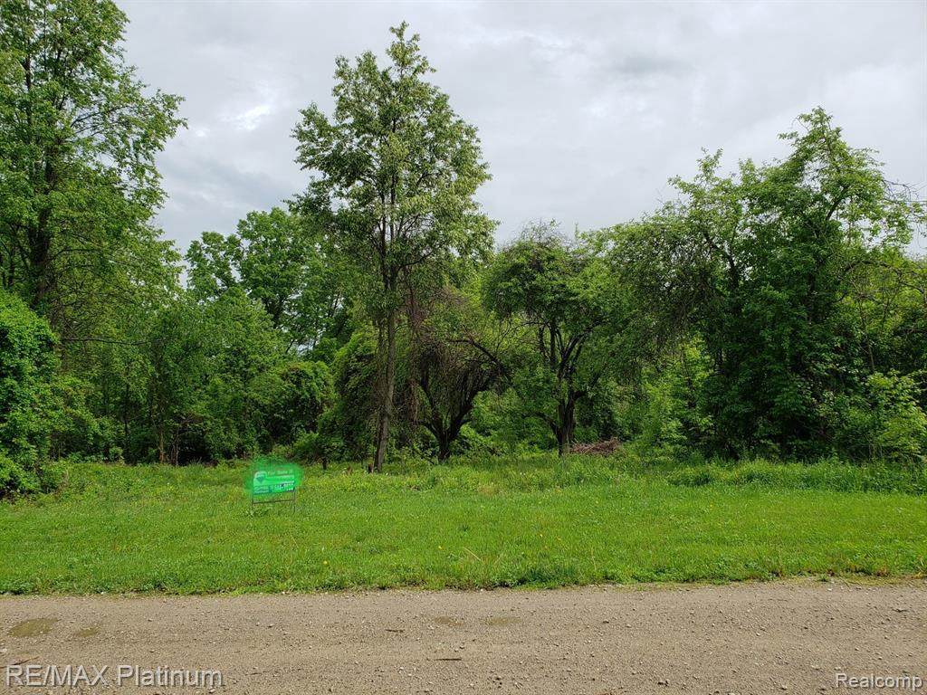 Euler RD Euler Rd - Photo 1