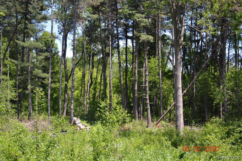 839 Hospital Rd - Photo 1