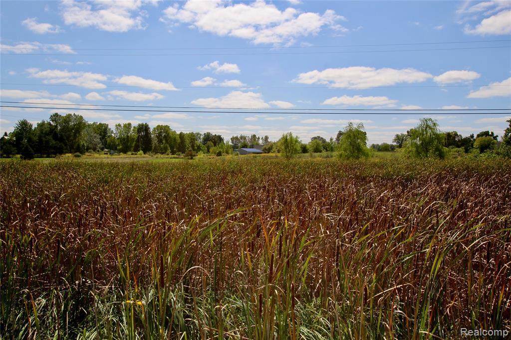9069 Ray Rd - Photo 1