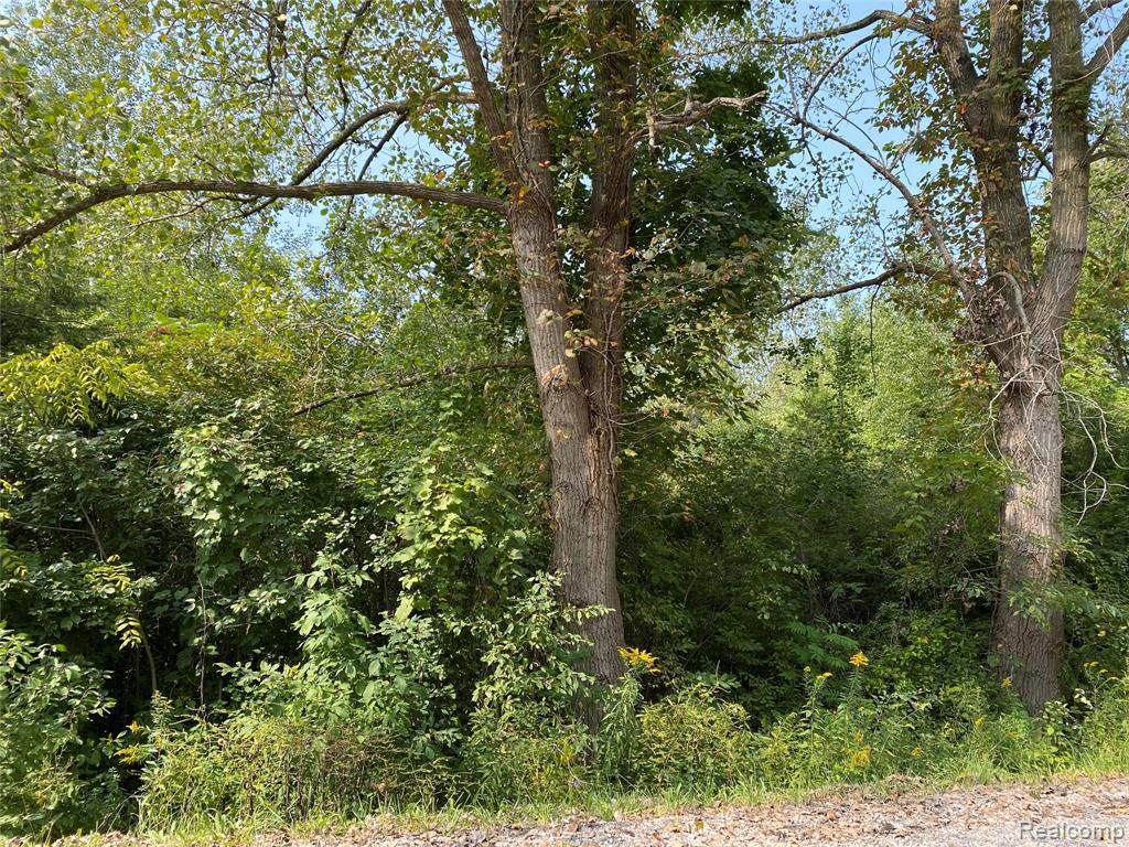 0000 Timbers Rd - Photo 1