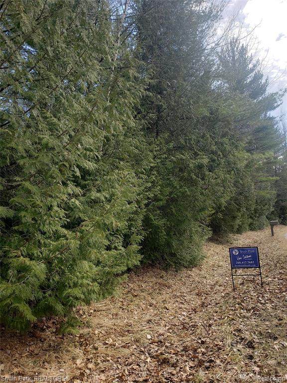 Lot 519 Huntington - Photo 1