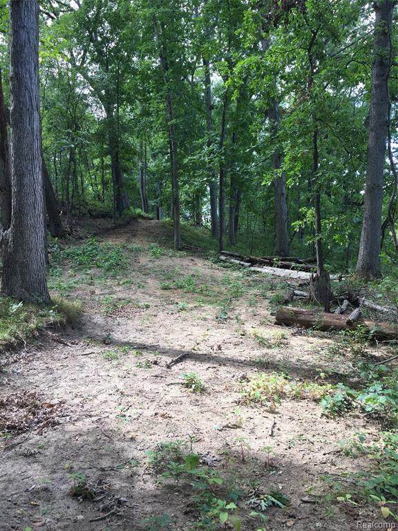 00 Whitewood - Photo 1