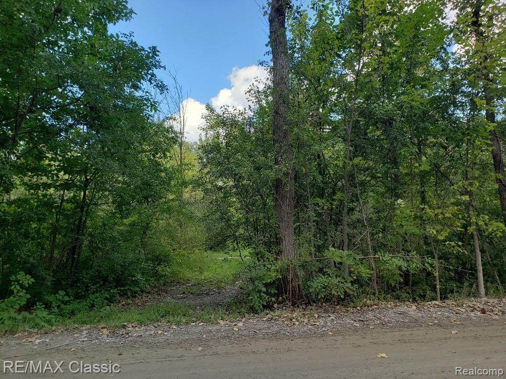 50140 Nine Mile - Photo 1