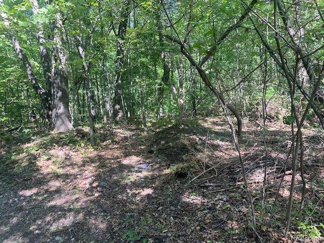 32 Acres Zarieda - Photo 1