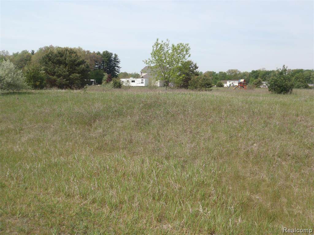 29 Bryde - Photo 1