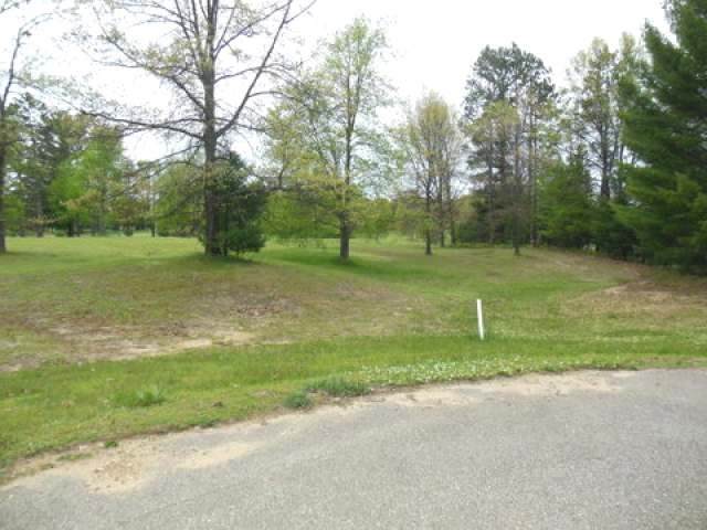 16 White Pine Ridge - Photo 1