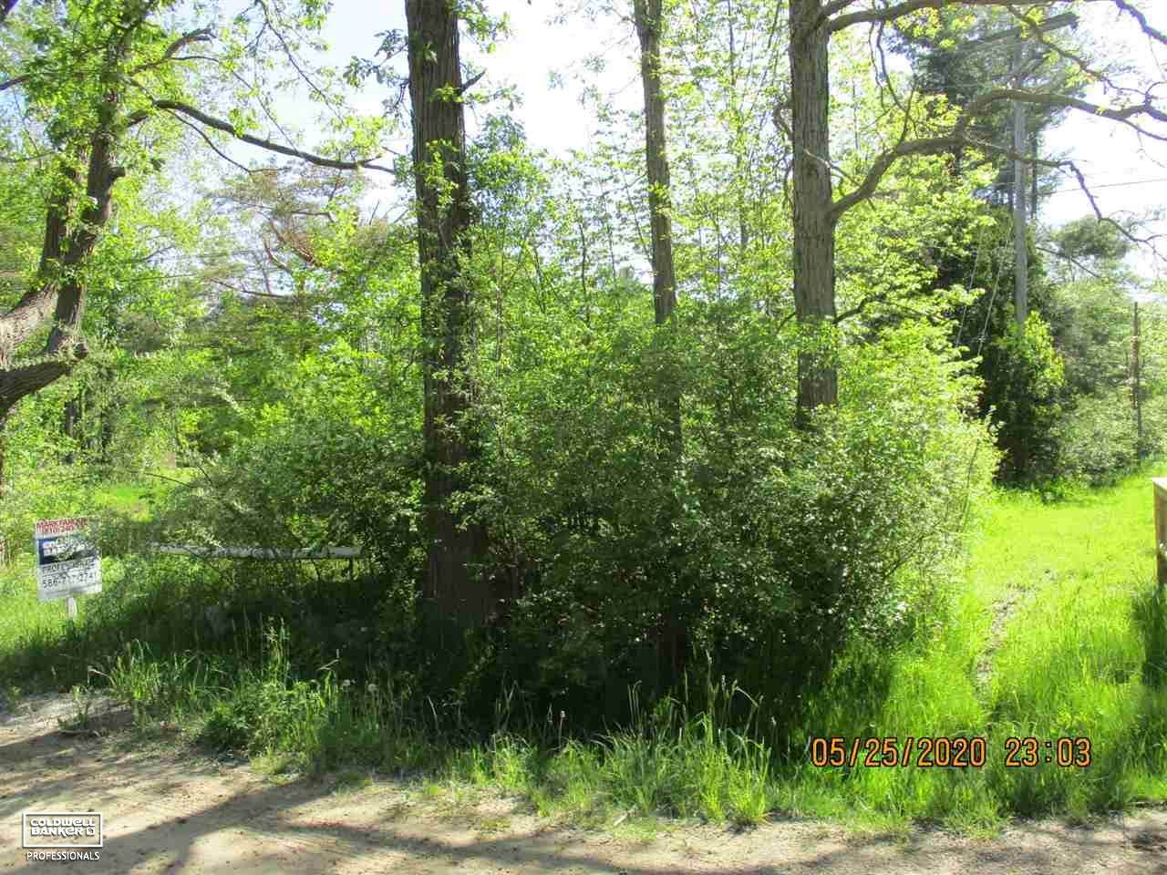 0 Forest - Photo 1