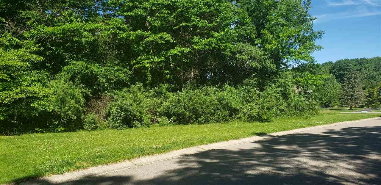 0 Deer Lake Court - Photo 1