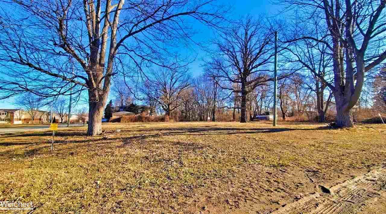 24615 Old Shook Rd - Photo 1