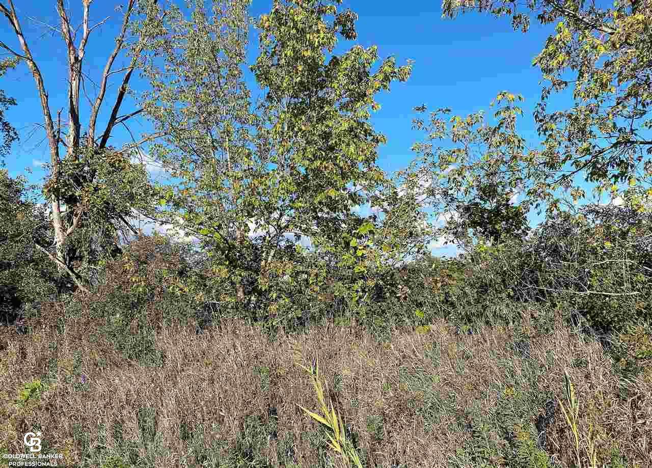 00 Deland - Photo 1