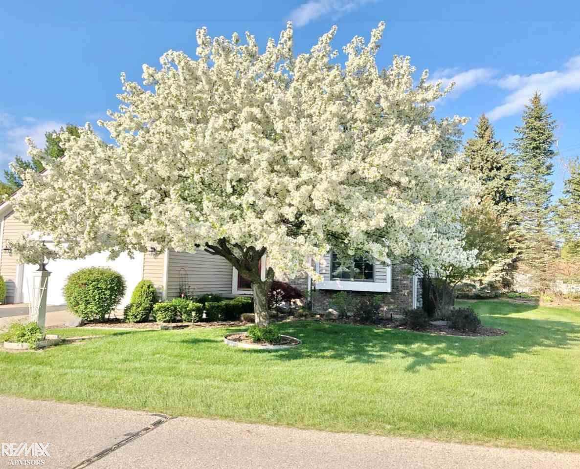 7121 Greenbush Lane - Photo 1