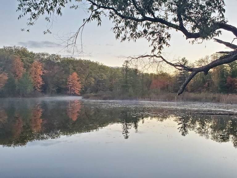 4656 Hayes Rd Lots 42,43 - Photo 1