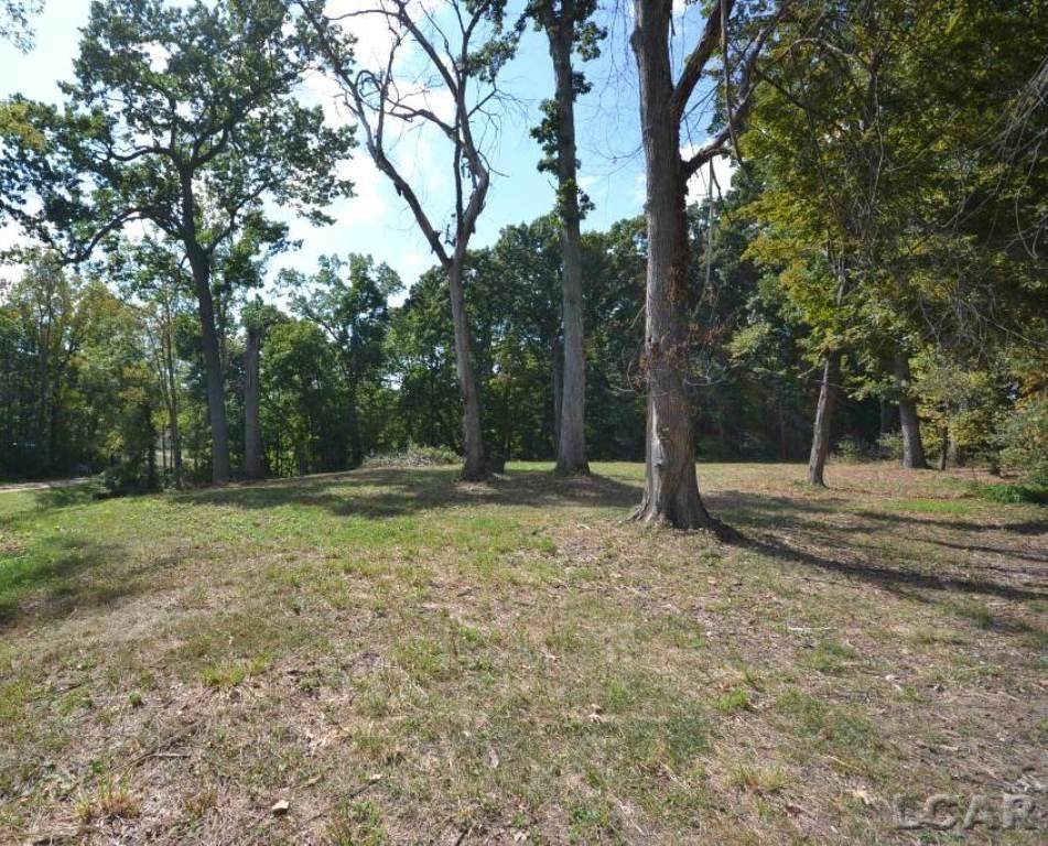 Lots 274-276 Southlawn - Photo 1