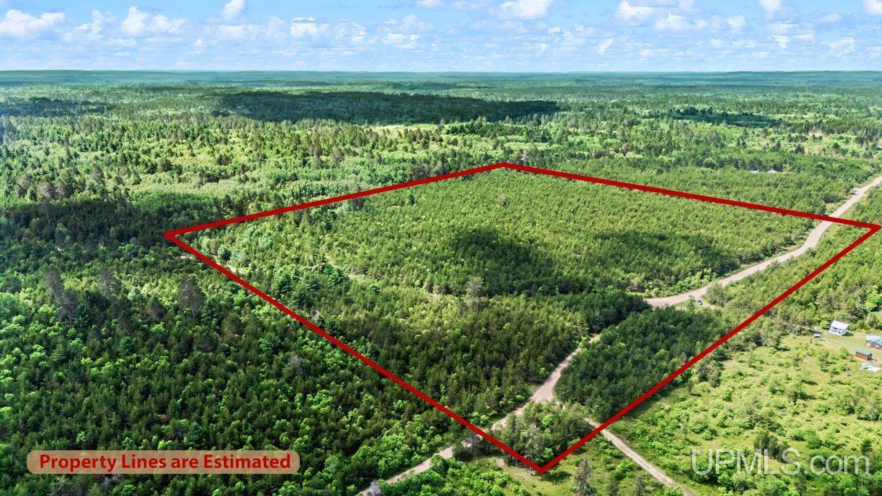 TBD Bryan Creek - Photo 1