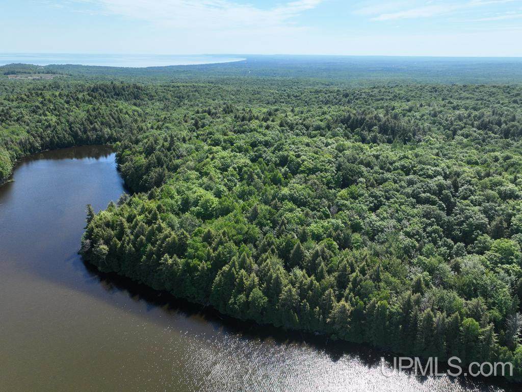 000 County Road 553 - Photo 1