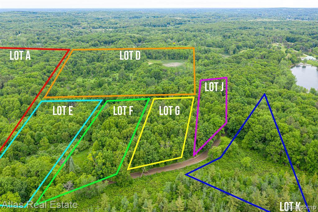 Parcel G Bald Eagle Lake - Photo 1