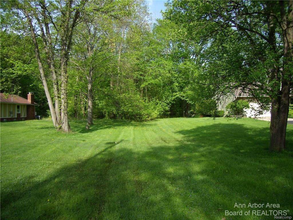 20099 Purlingbrook - Photo 1