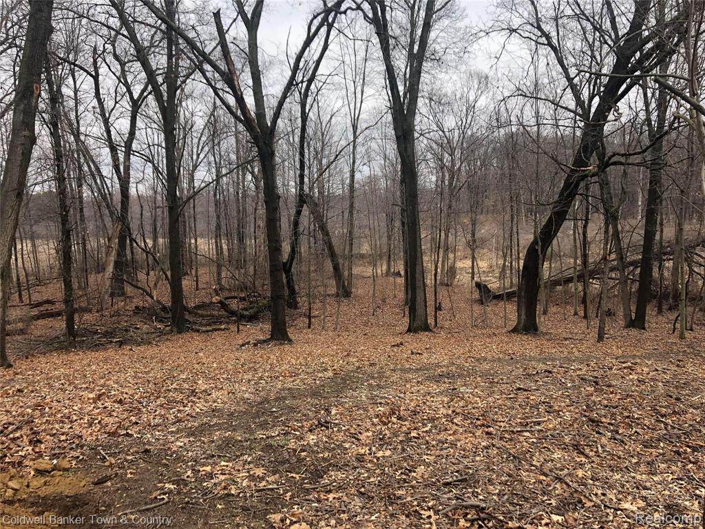 0000 San Luray - Photo 1