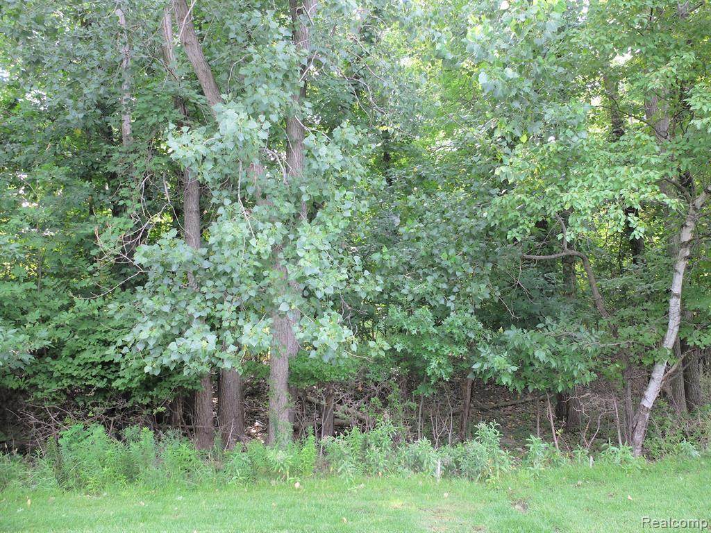 30316 Berghway - Photo 1