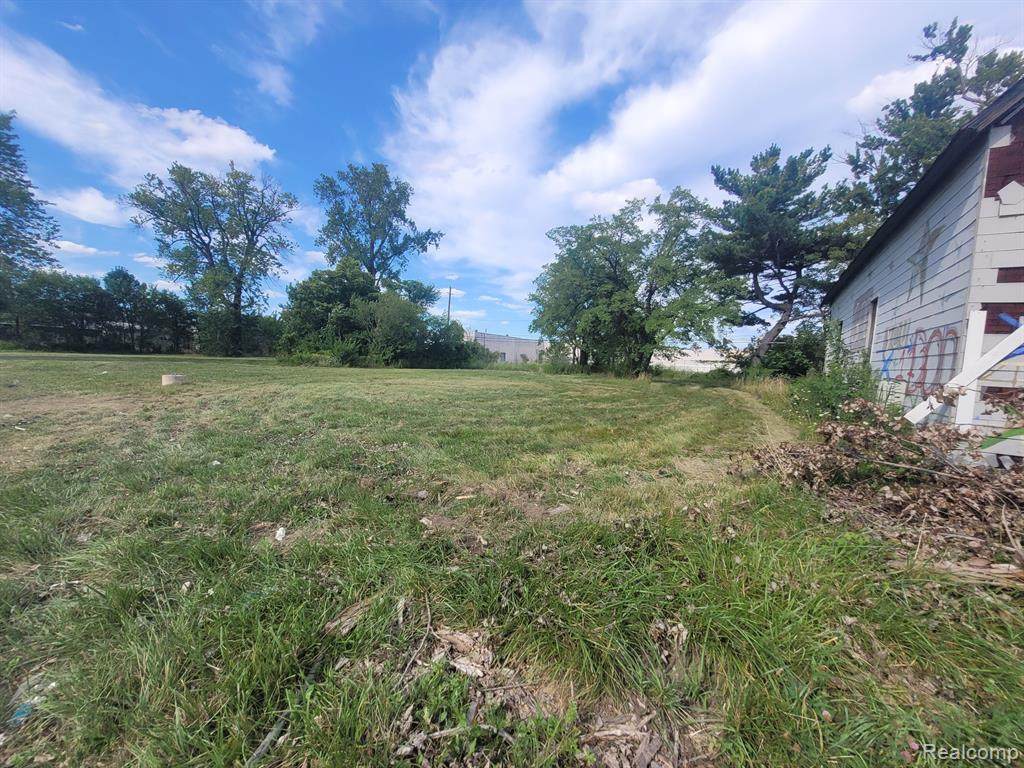 3424 Mount Elliott - Photo 1