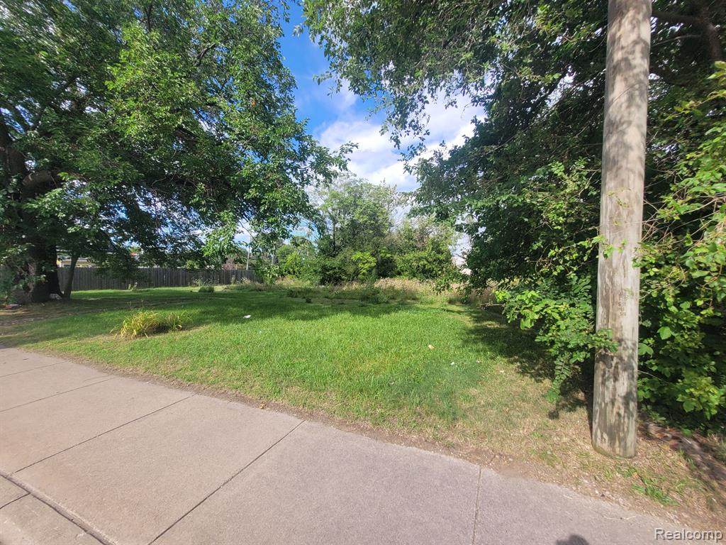 3520 Mount Elliott - Photo 1