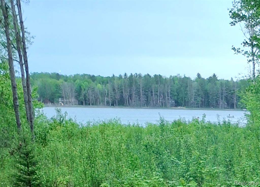 Land 99 Breezewood - Photo 1