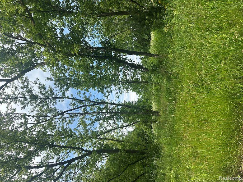 VL Lakeview Park - Photo 1