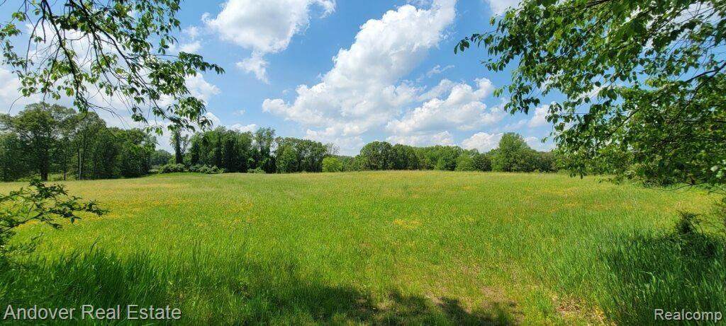 000D Kingsbury - Photo 1