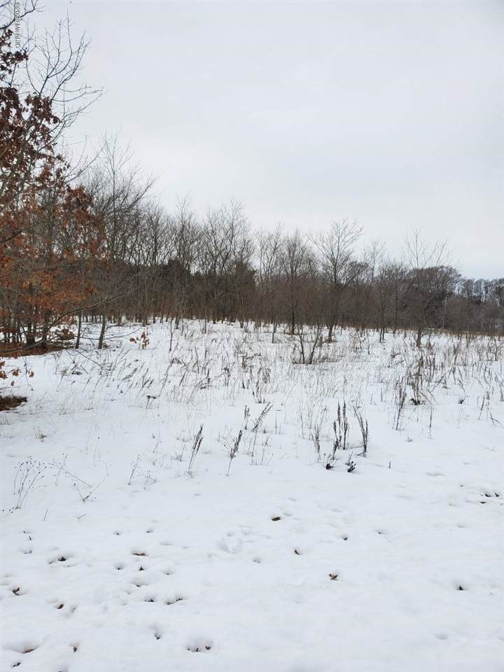 0 Branch Lane - Photo 1