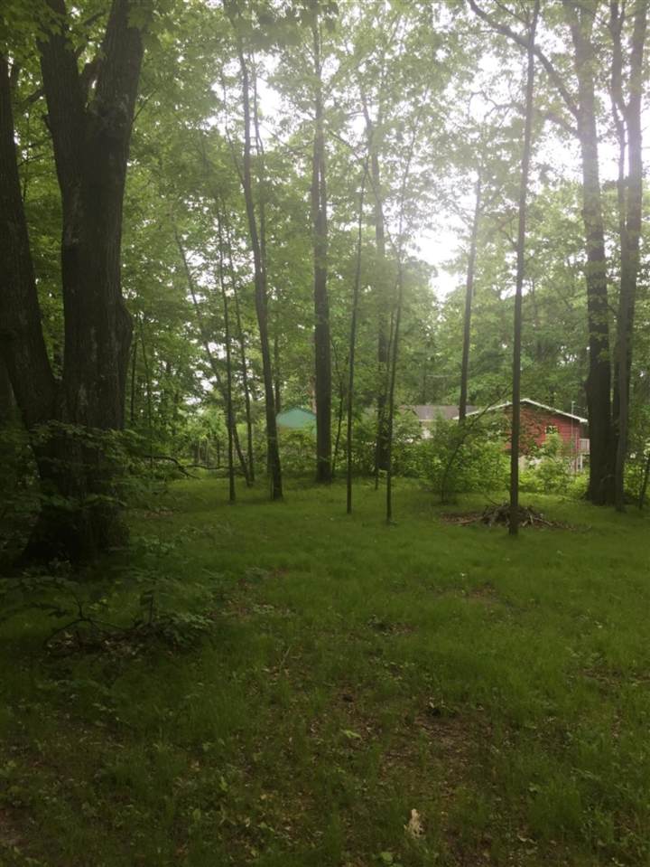 00 Elm Drive - Photo 1