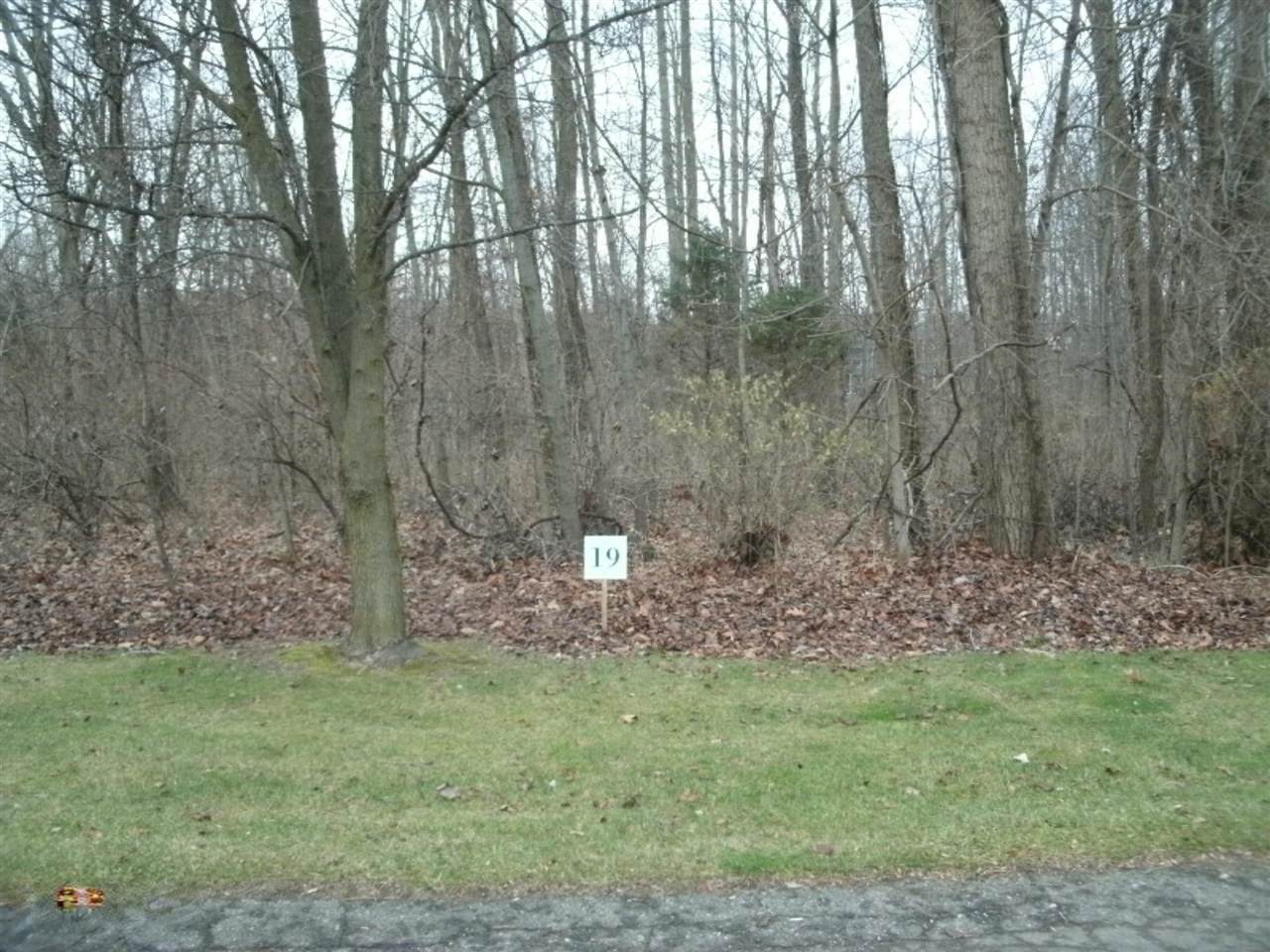 0 Echo Valley Drive - Photo 1