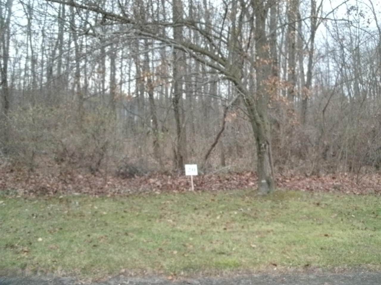 0 Echo Valley Drive - Photo 1
