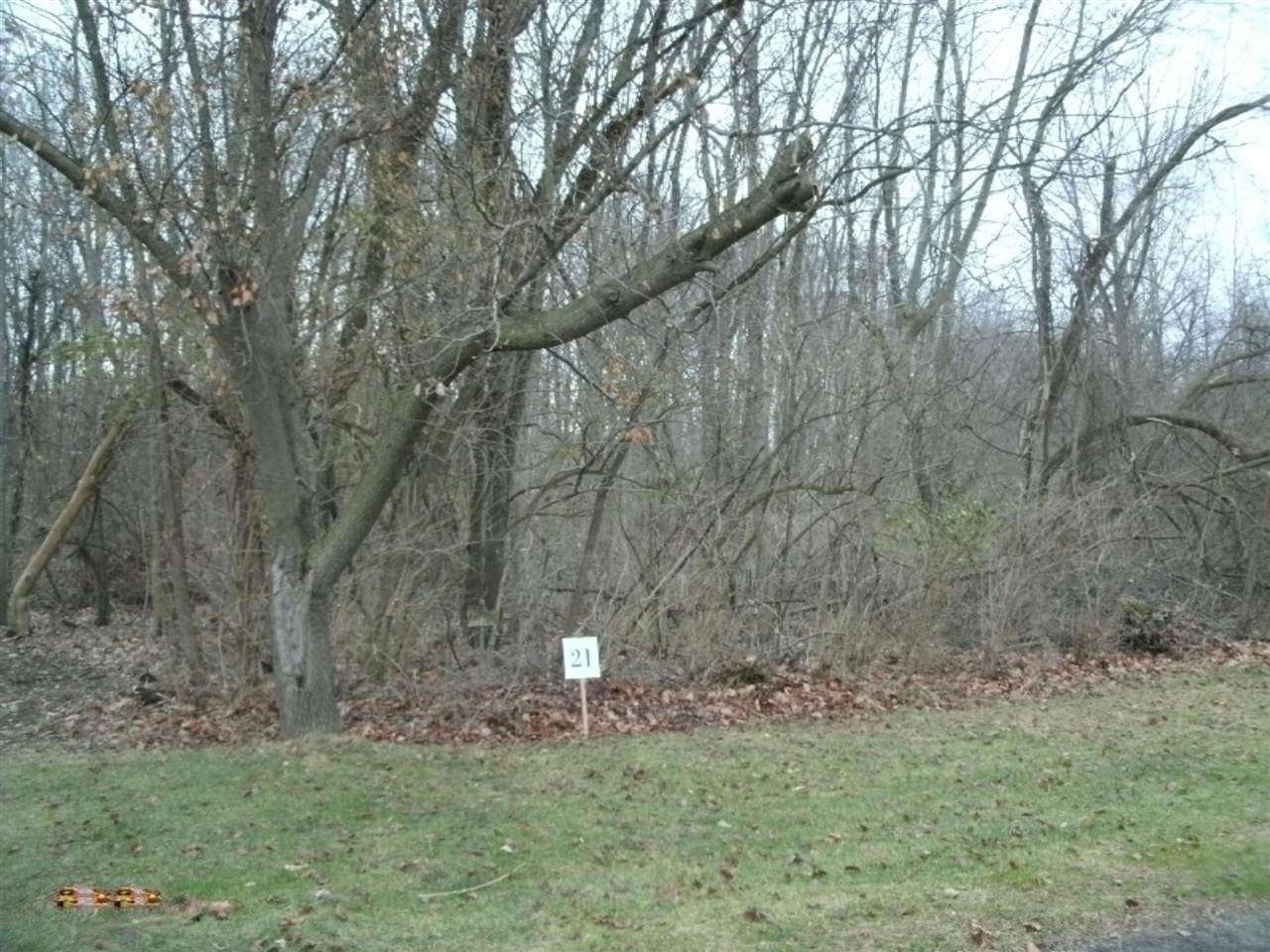 0 Echo Valley Drive - Photo 1
