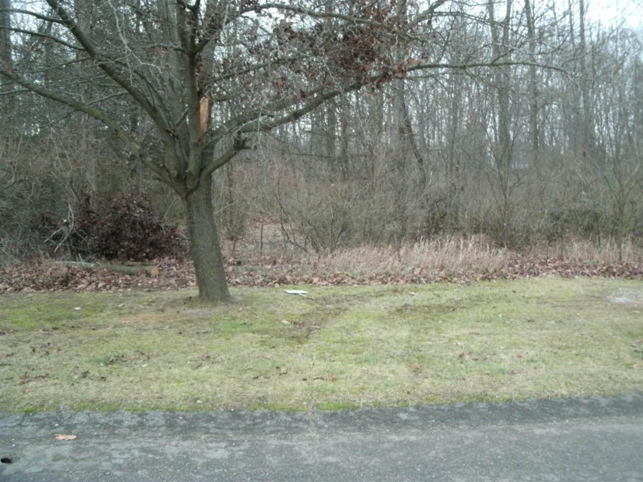 0 Echo Valley Drive - Photo 1