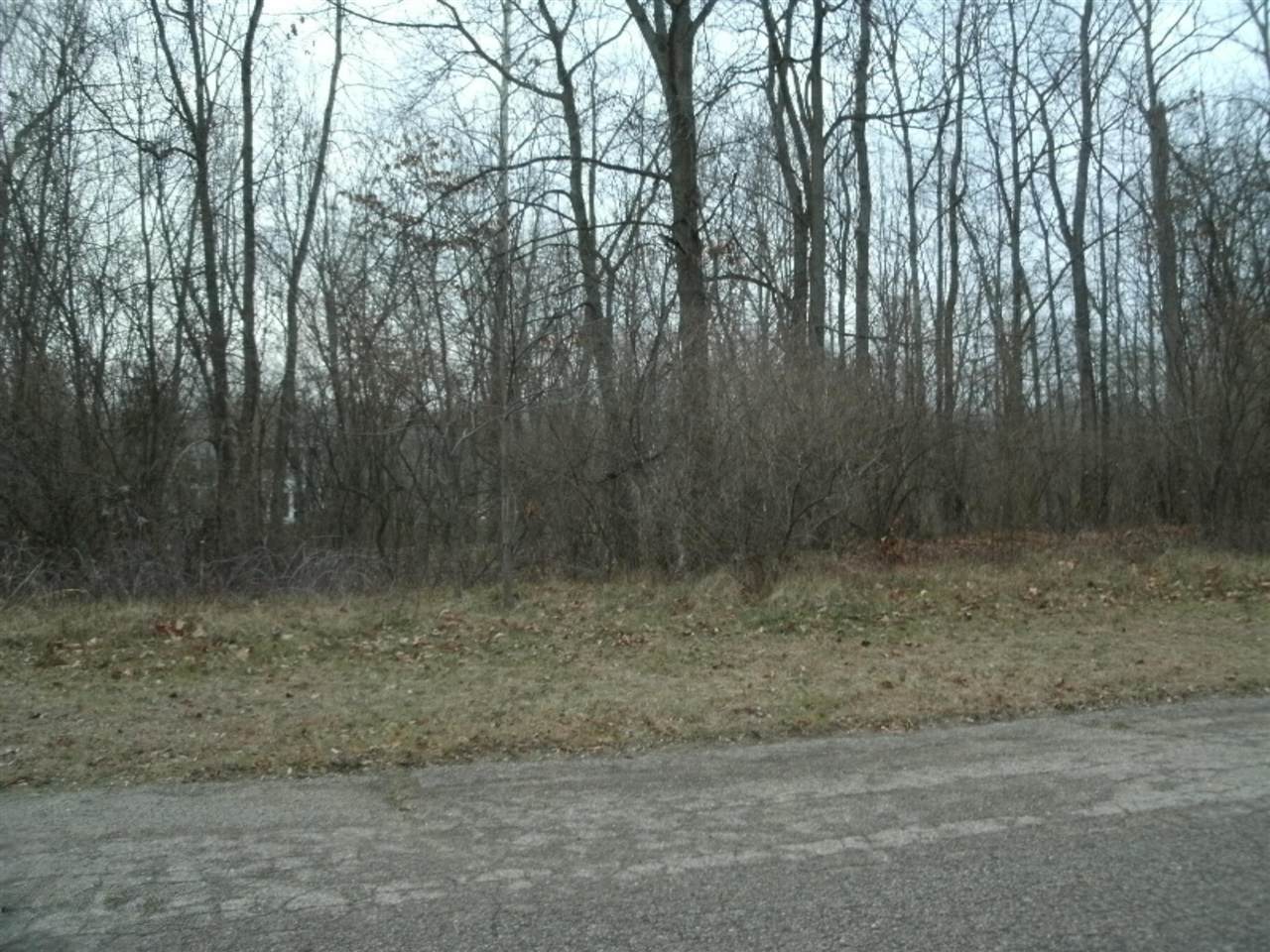 0 Valley View Drive - Photo 1